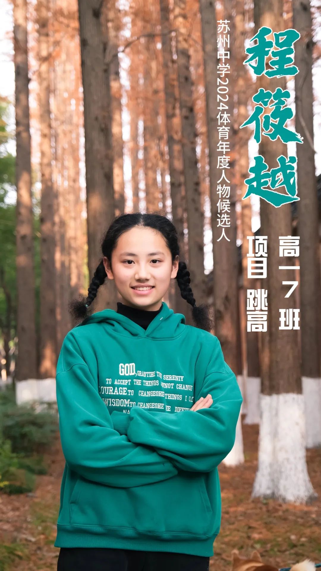 投票的足球冠军_投票足球冠军怎么投_足球赛冠军