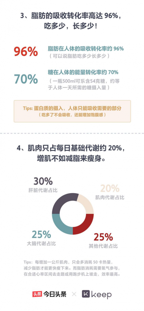 瘦手臂房健身运动视频_瘦手臂的健身动作_瘦手臂的健身房运动