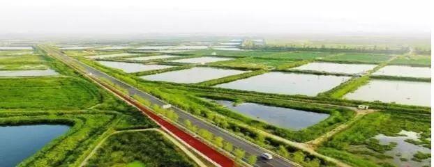 大荔朝邑马拉松_2021陕西渭南大荔马拉松_大荔国际马拉松2019