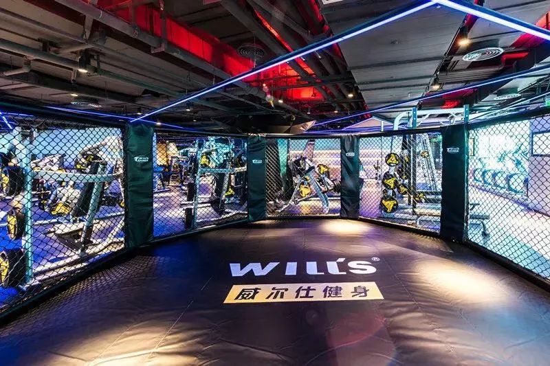 爱健身的男艺人_为什么明星爱健身_盘点那些健身明星