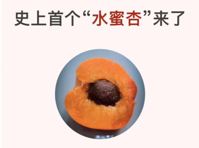 让知识更简单_让我们懂得知识_秒懂知识让你更懂我